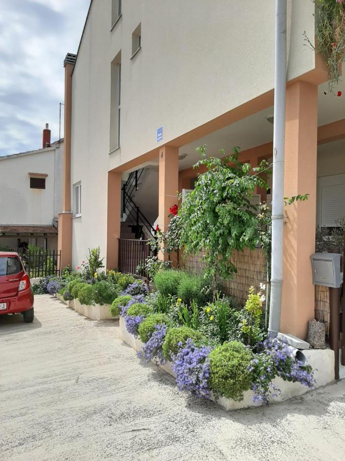 Apartment Luna Maris Zadar